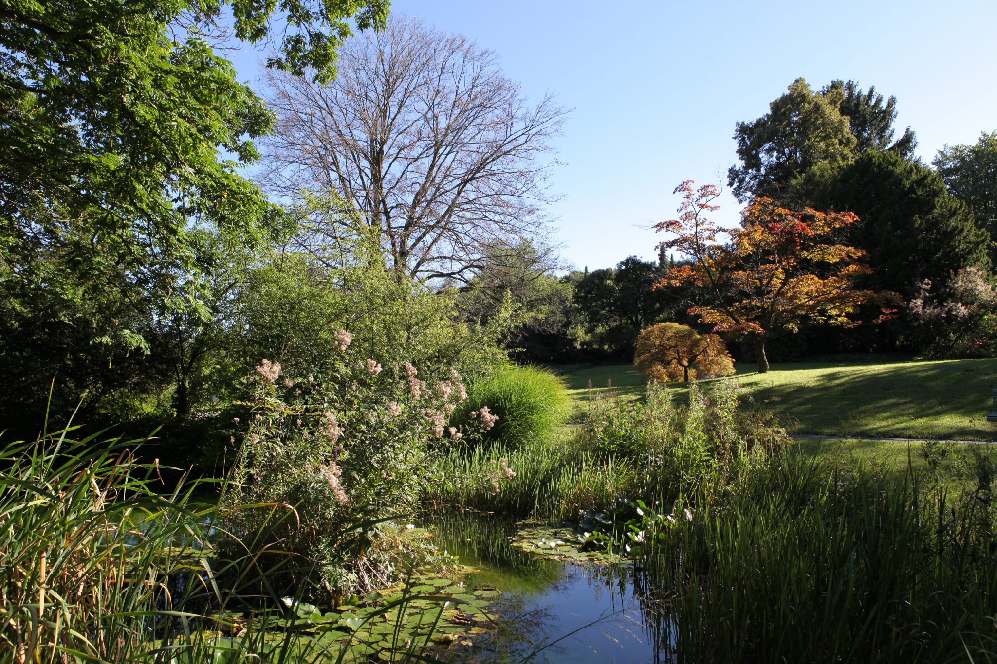 Das Bild zeigt in der Mitte einen Teich, links davon eine Böschung, auf der rechten Seite eine Wiese mit dahinterstehenden Bäumen unter blauem Himmel.